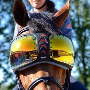 OCCHIALI DA CAVALLO eVysor MIRRORED RAINBOW - immagine 1