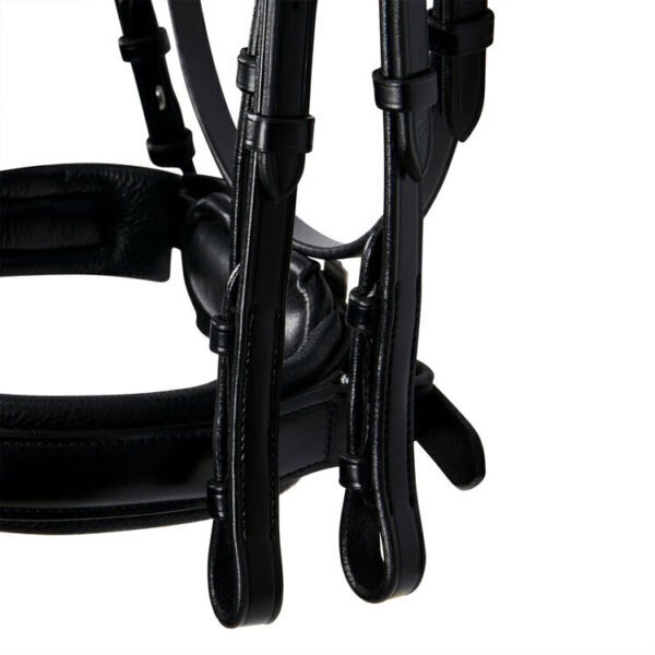 BRIGLIA DRESSAGE EVOLUTION SAGOMATA SENZA REDINI