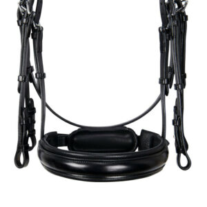 BRIGLIA DRESSAGE EVOLUTION SAGOMATA SENZA REDINI