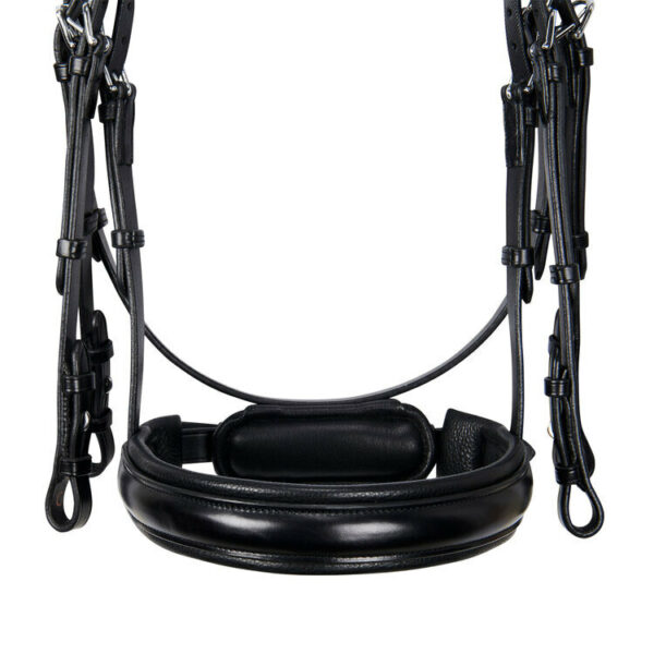 BRIGLIA DRESSAGE EVOLUTION SAGOMATA SENZA REDINI