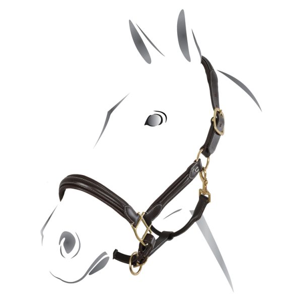 CAVEZZA CUOIO EQUESTRO SUPERIOR