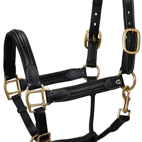 CAVEZZA CUOIO EQUESTRO SUPERIOR