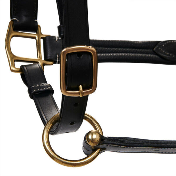 CAVEZZA CUOIO EQUESTRO SUPERIOR