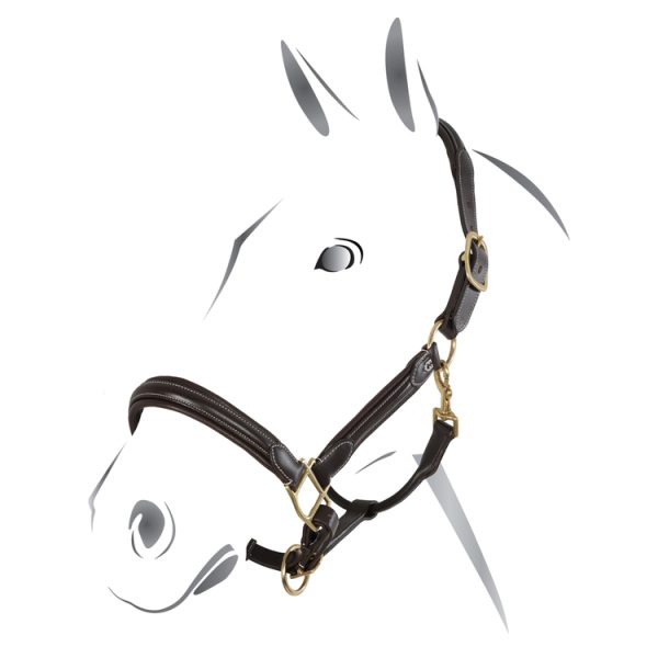 CAVEZZA CUOIO EQUESTRO SUPERIOR