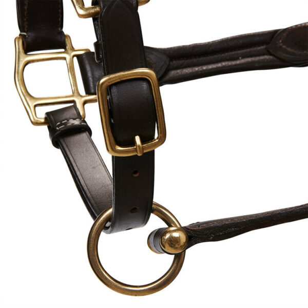 CAVEZZA CUOIO EQUESTRO SUPERIOR