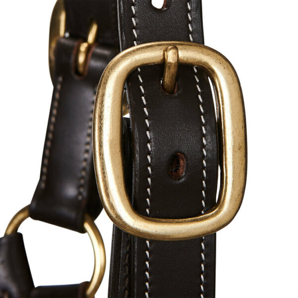 CAVEZZA CUOIO EQUESTRO SUPERIOR