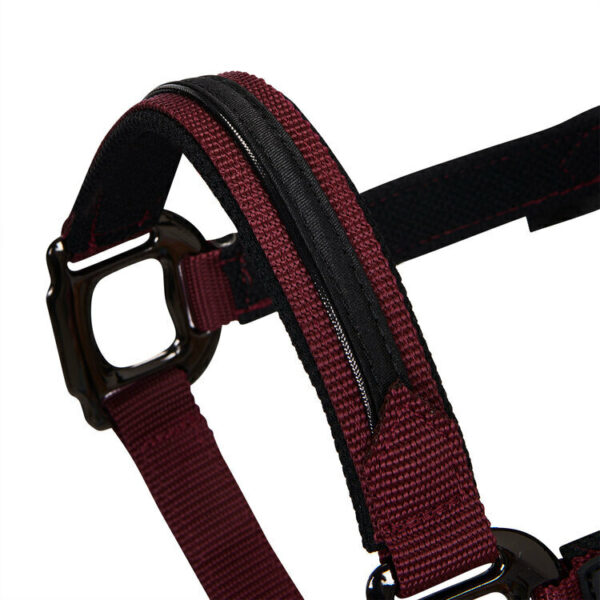 CAVEZZA NYLON EQUESTRO C/LUNGHINA MODELLO ELEGANCE
