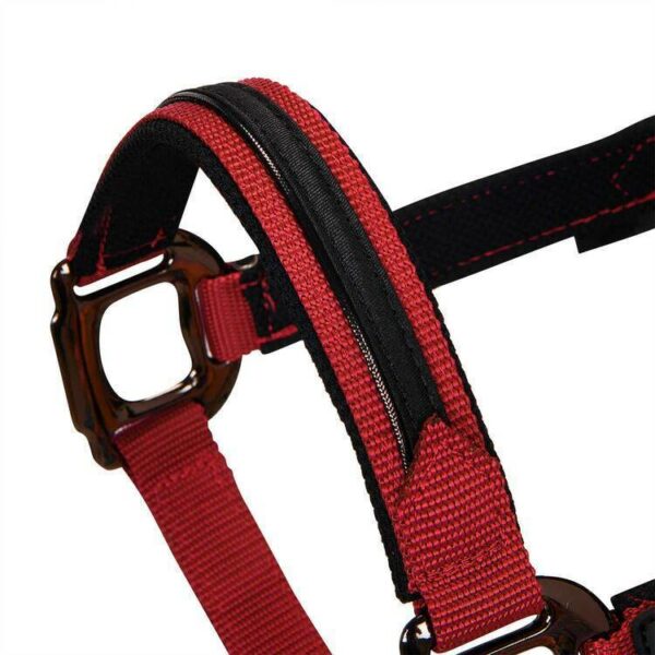 CAVEZZA NYLON EQUESTRO C/LUNGHINA MODELLO ELEGANCE