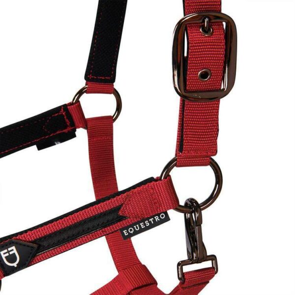 CAVEZZA NYLON EQUESTRO C/LUNGHINA MODELLO ELEGANCE
