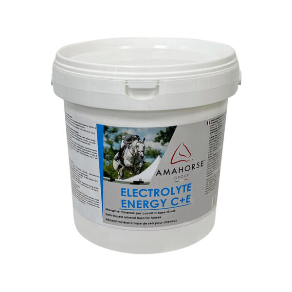 SALI ELETTROLITICI (3 KG) lotto 557/19 scadenza 08/2020