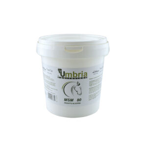 MSM (1.2 KG) lotto r 792/19 scadenza 12/2021