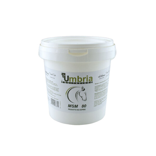 MSM (1.2 KG) lotto r 792/19 scadenza 12/2021