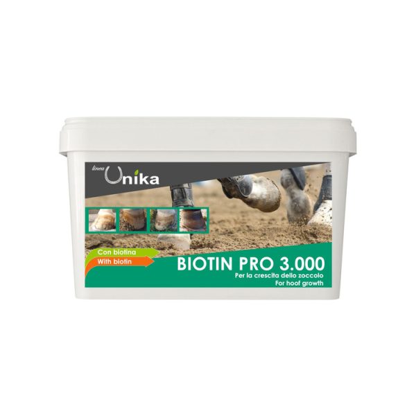 BIOTIN PRO 3000 (1 KG) LU0006 LOTTO 006/2020 SCADENZA 01/22