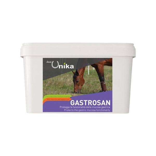 GASTROSAN (1.5 KG) LU0027 lotto PF545/2020 scadenza 03/2022