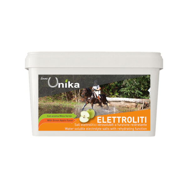 ENDURANCE ELECTROLYTE (1 KG) LU0020 LOTTO PF364/2021