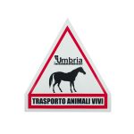 CARTELLO TRASPORTO CAVALLI
