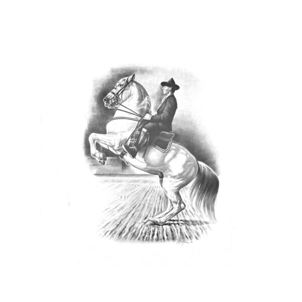 STAMPA SOGGETTI EQUESTRI