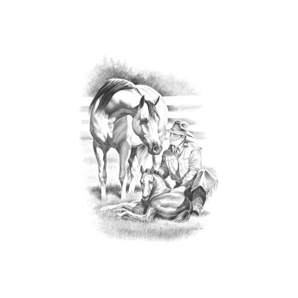 STAMPA SOGGETTI EQUESTRI