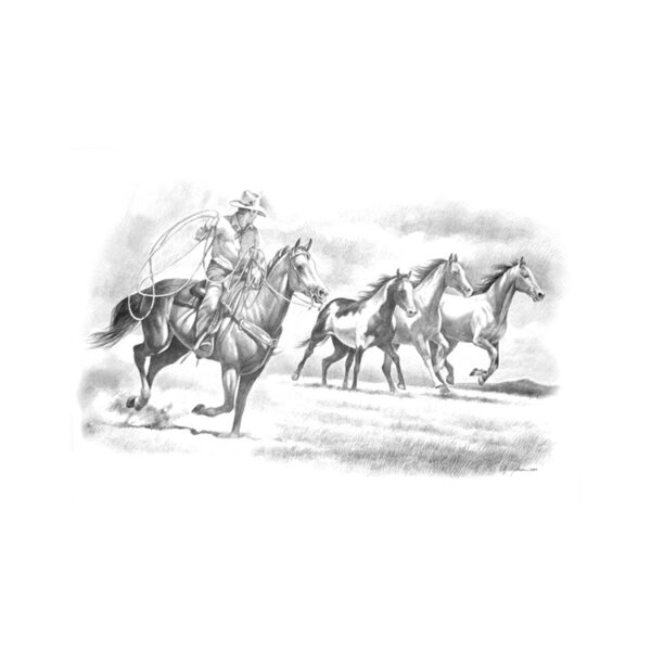 STAMPA SOGGETTI EQUESTRI