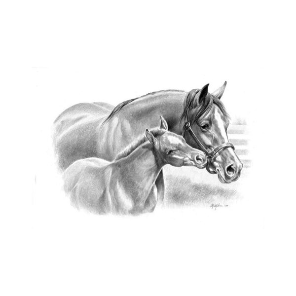 STAMPA SOGGETTI EQUESTRI