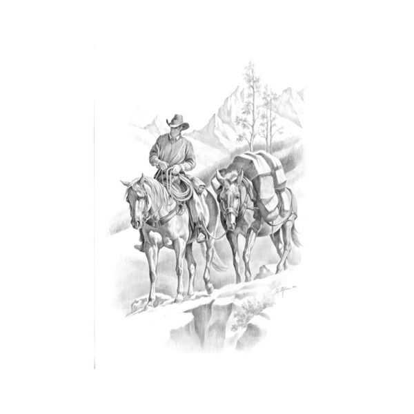STAMPA SOGGETTI EQUESTRI