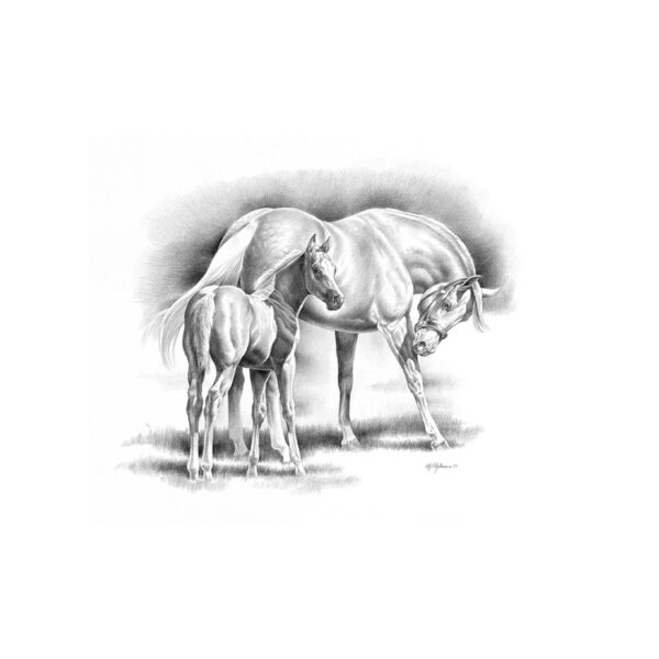 STAMPA SOGGETTI EQUESTRI