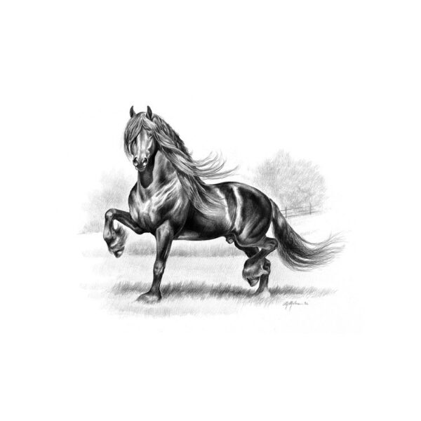 STAMPA SOGGETTI EQUESTRI
