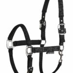 CAPEZZA GLITTER EQUILINE
