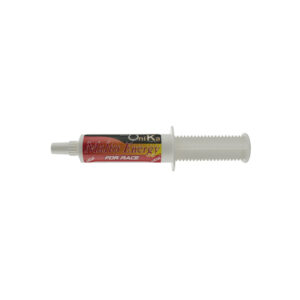 MALTO ENERGY PASTE (120 GR) lotto 068/2019