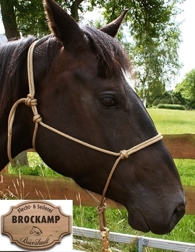 CAVEZZA BROCKAMP ANNODATA