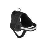 HARNESS MAESTRO 15 MM, 34-44 CM