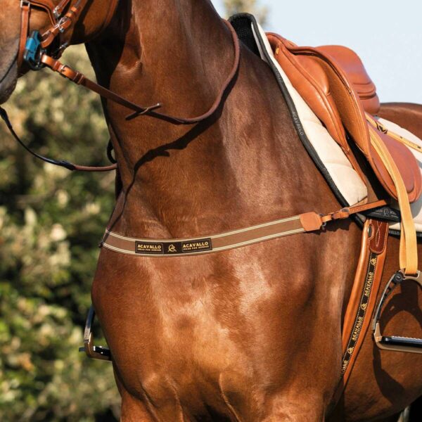 SINGLE ELASTIC BREASTPLATE