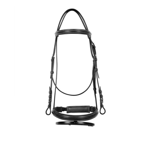 "TESTIERA EQUESTRO MODELLO ""SILVER"""