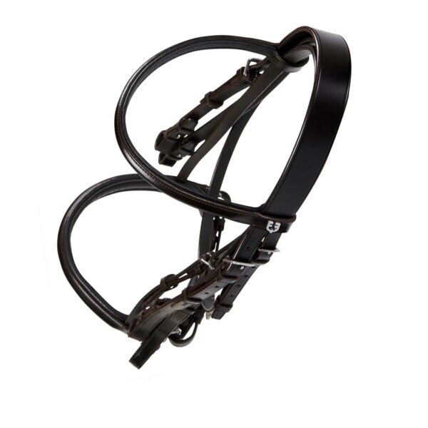 BRIGLIA EQUESTRO MODELLO "DRESSAGE"