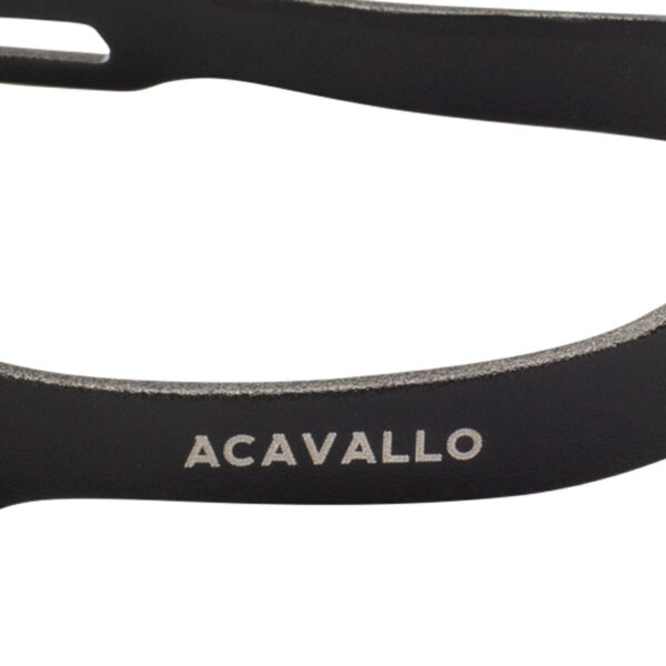 ARENA ALUPLUS 2.0 SPURS W/INTERCHANGEABLE ROWELS
