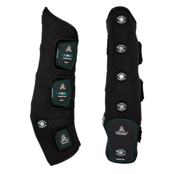 STINCHIERE TERAPEUTIC MAGNETIK REAR