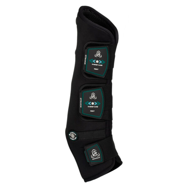 STINCHIERE TERAPEUTIC MAGNETIK REAR