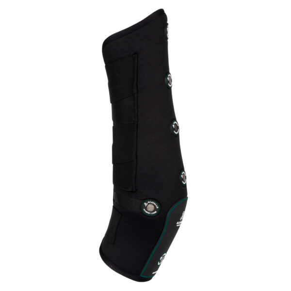 STINCHIERE TERAPEUTIC MAGNETIK REAR