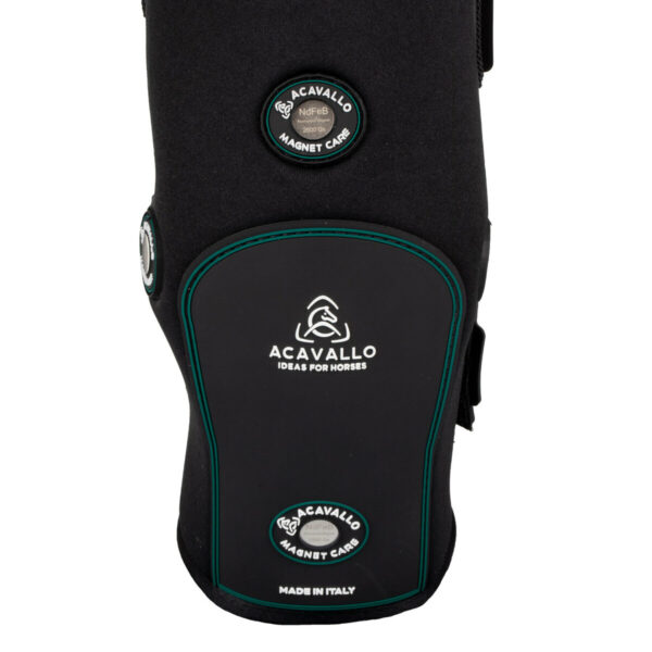 STINCHIERE TERAPEUTIC MAGNETIK REAR