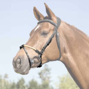 ROPE FLASH NOSEBAND