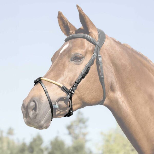 ROPE FLASH NOSEBAND