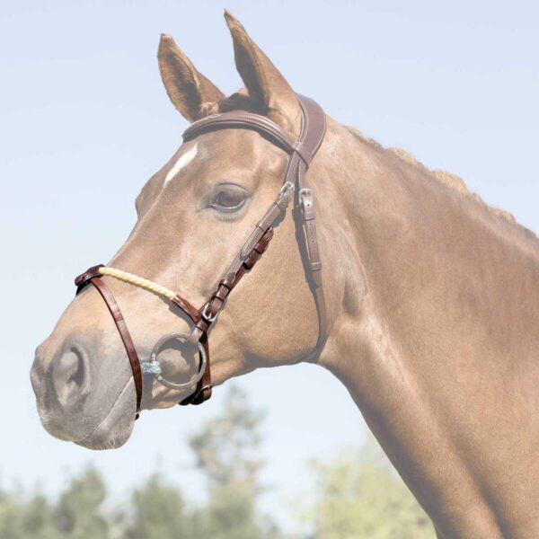 ROPE FLASH NOSEBAND