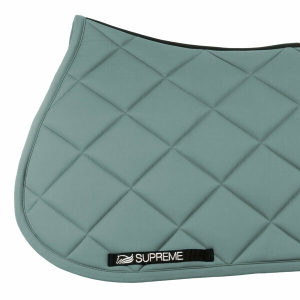 PLEASURE JUMPING SADDLE PAD