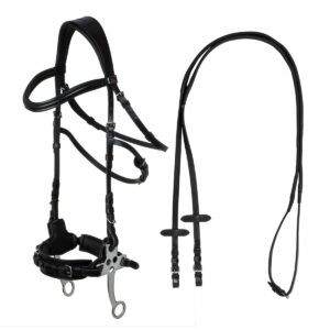 HACKAMORE BRIDLE