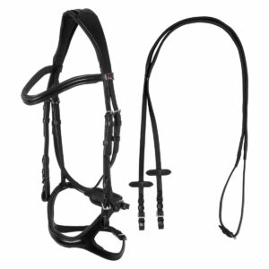 SNAFFLE BRIDLE WITH ANATOMIC CURVED SHAPED CROWN