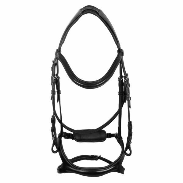 SNAFFLE BRIDLE WITH ANATOMIC CURVED SHAPED CROWN