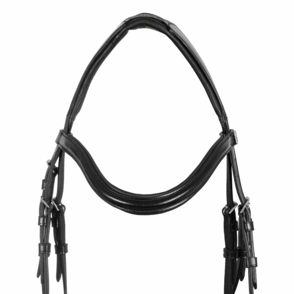 SNAFFLE BRIDLE WITH ANATOMIC CURVED SHAPED CROWN