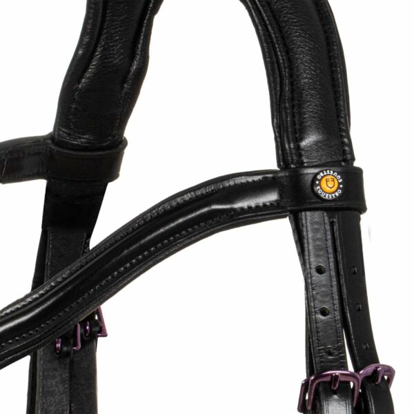 SOFT LEATHER BRIDLE VIOLET FITTING
