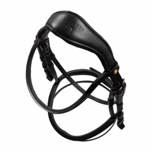 SOFT LEATHER BRIDLE VIOLET FITTING