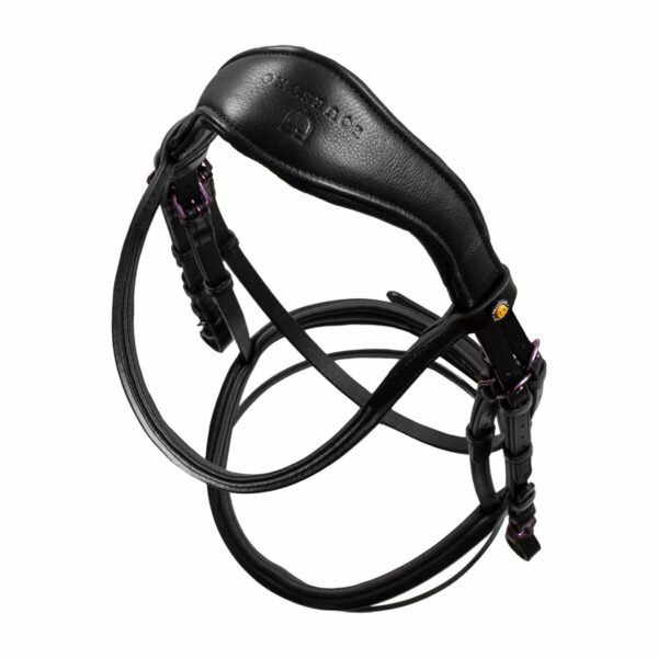 SOFT LEATHER BRIDLE VIOLET FITTING